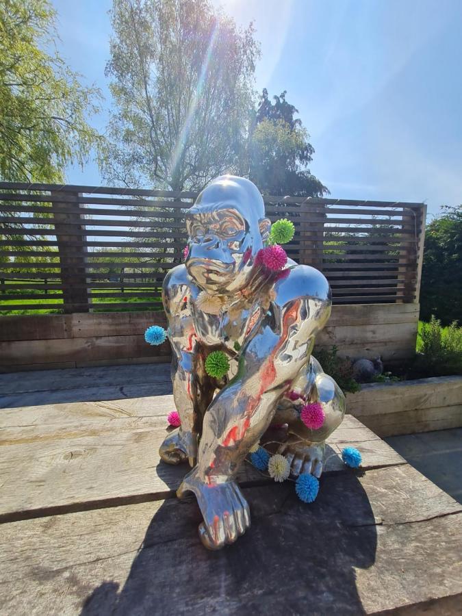 The Little Cottage - Peaceful, Dog Friendly Cottage In 5 Acres Glastonbury Luaran gambar